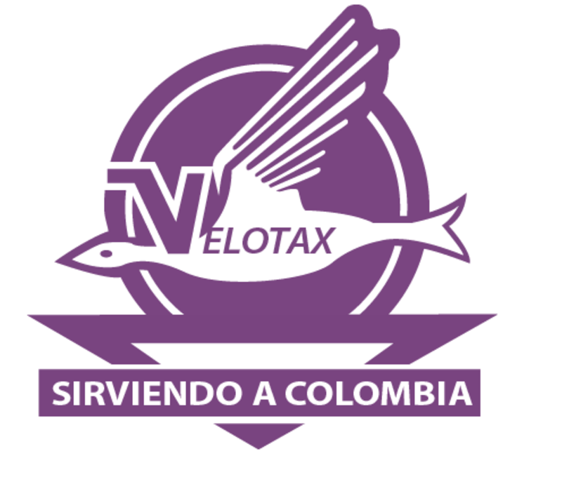 logo-VELOTAX